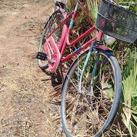 bicicletta