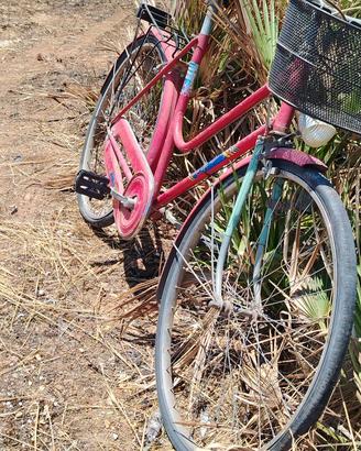 bicicletta