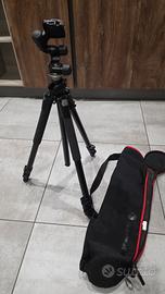 cavalletto e testa Manfrotto