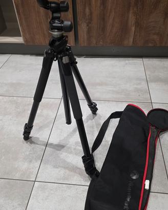 cavalletto e testa Manfrotto