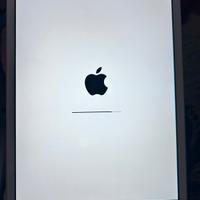 Ipad mini 2