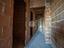Immagine 21
