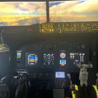 Simulatore di volo completo B737