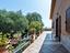 Immagine 29
