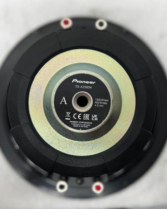 Subwoofer pioneer