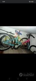 biciclette 