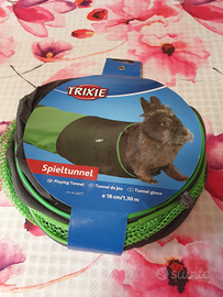 Tunnel Trixie