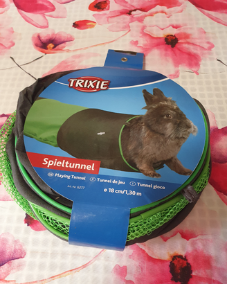 Tunnel Trixie
