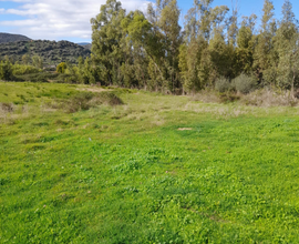 Terreno agricolo S'Ortali e su Monti Tortolì
