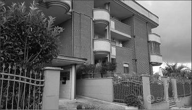 Latina - Rif. asta 6478