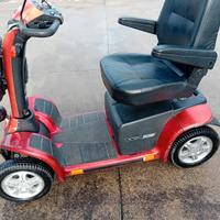 Bicicletta elettrica disabili
