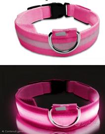 Collare LED ad alta visibilità per cani - rosa