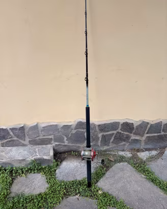 Canna da pesca