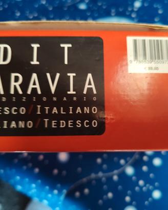 dizionario 