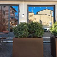 Fioriere in resina con piante di mirto
