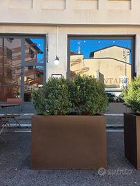 Fioriere in resina con piante di mirto