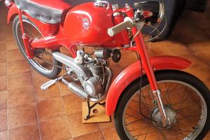 Motorino motom