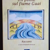 Libro: Un ponte sul fiume Guai