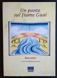 Libro: Un ponte sul fiume Guai