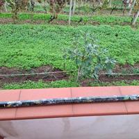 Tubo arbalete Merou carbonio 26-30, misura 99 cm