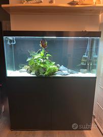 Acquario Askol Ciano