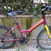 MTB CARRARO MOUNTAIN BIKE bimbo