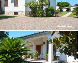 Villa delle Cycas - Circeo LAST MINUTE