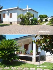 Villa delle Cycas - Circeo LAST MINUTE