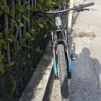 E-BIKE Focus jam2