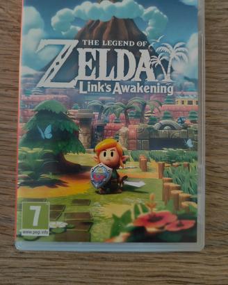 Zelda Links Awaking 