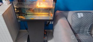Tetra Starter Line LED 54 l Acquario 