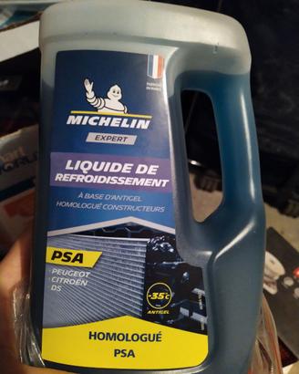 Liquido antigelo per radiatore auto gruppo PSA