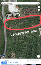 Terreno artigianale