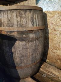botte per vino inizio 900