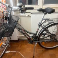 Bicicletta Da Passeggio