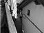 Immagine 7