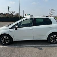Fiat grande punto evo Young Street