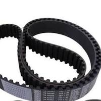 Cinghia Distribuzione SKF