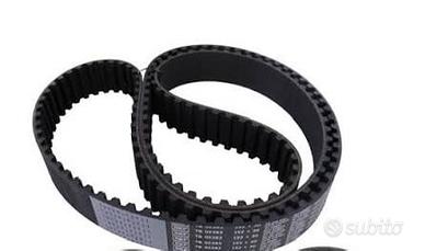 Cinghia Distribuzione SKF