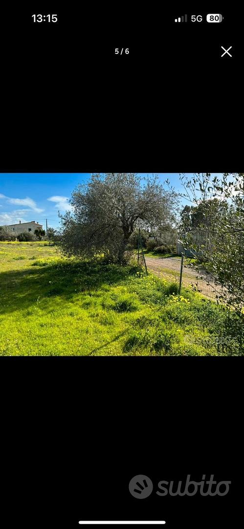 Terreno agricolo - Vista 2