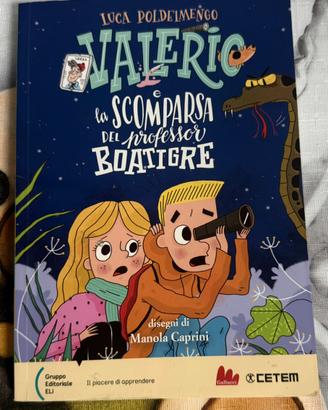 Libro Valerio e la scompars del professor Boatigre