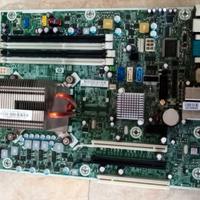 Scheda madre HP MS-7557 LGA 1156