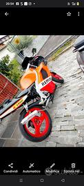 Aprilia RS 50 2001