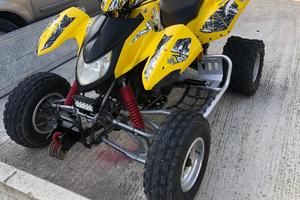 Quadro Altro modello - 2008