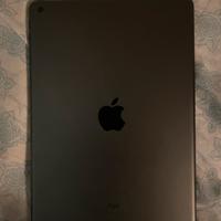 Ipad 9,7 (6th generation)