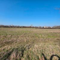 FOGLIANO - Polazzo - Terreno agricolo