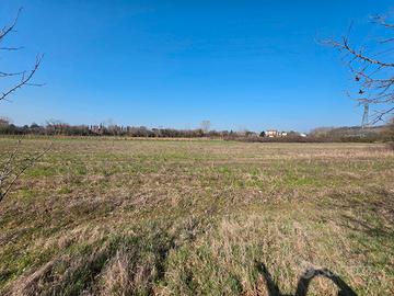 FOGLIANO - Polazzo - Terreno agricolo