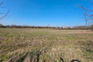 FOGLIANO - Polazzo - Terreno agricolo