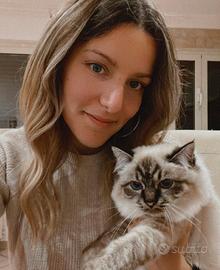 Social Media Manager