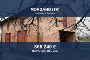 Immobile in asta di 40655 m² a Morgano